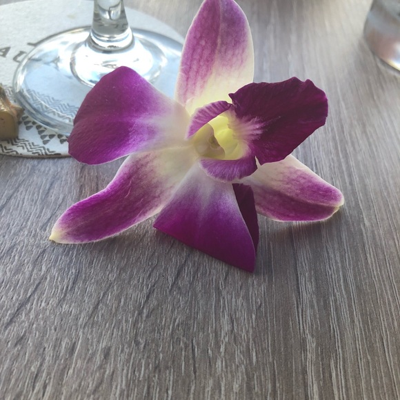 Meet your Posher, Michelle - Picture 1 of 1